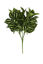 Imagem de Pick Maranta Verde